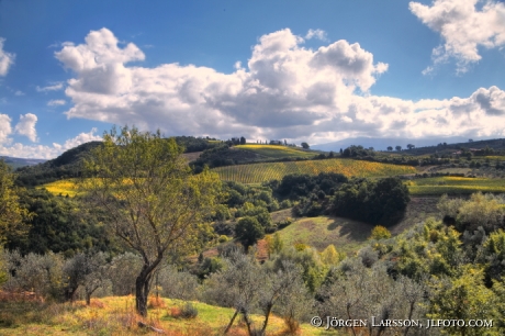 Val d`Orcia Toscana Italien 