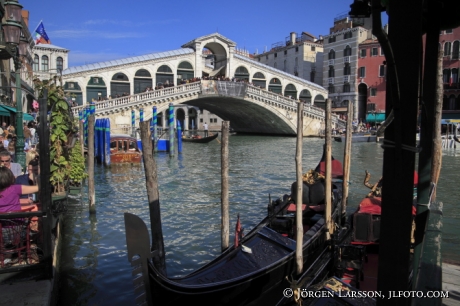 Rialto bron Venedig Italien