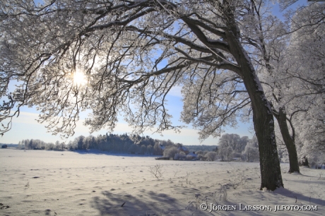 Vinter vid Norsborgsparken Botkyrka Södermanland