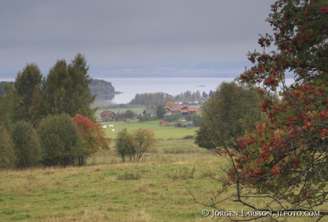 Höstlandskap