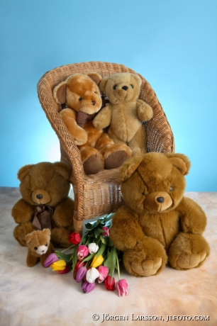 Teddybjörnar med tulpaner