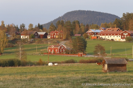 Järvsö klack