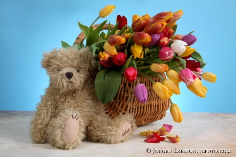 Teddybjörn med tulpaner