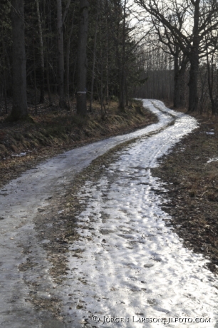 Isig väg på Mörkö Södermanland Sverige