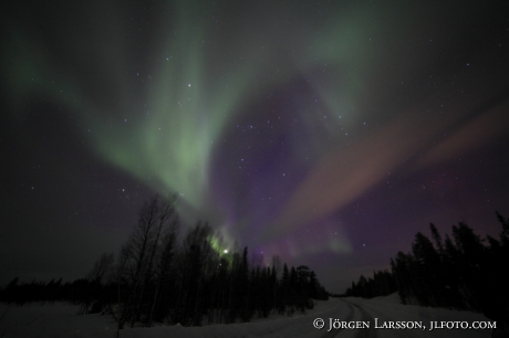 Norrsken Aurora Borealis Gällivare Lappland