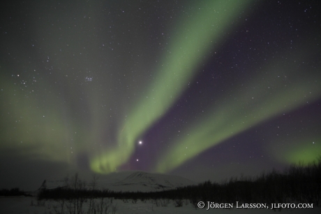 Norrsken Aurora Borealis Nikkalokta Lappland