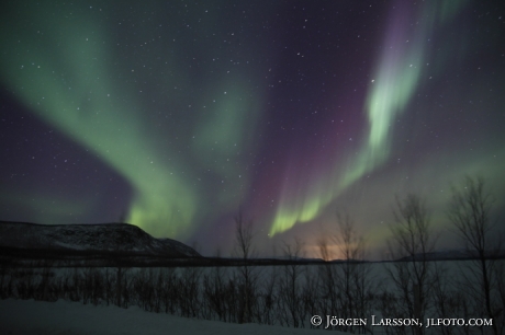 Norrsken Aurora Borealis Nikkalokta Lappland