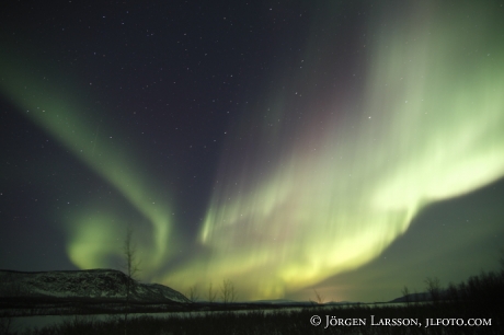 Norrsken Aurora Borealis Nikkaluokta Lappland