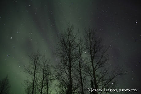 Norrsken Aurora Borealis Nikkaluokta Lappland