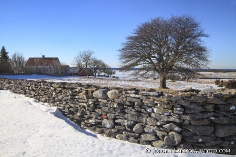 Fårö Gotland  Sweden