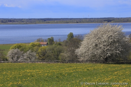 Vårlandskap