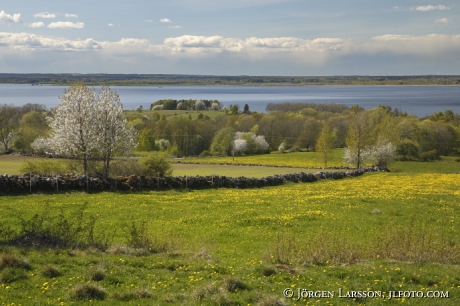 Vårlandskap