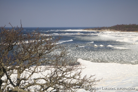 Sudret Gotland  Sweden