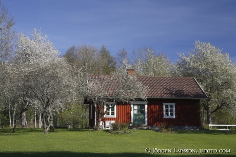 Hus vid Kinnekulle