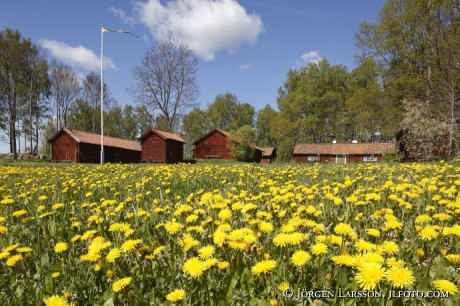 Gryts byggdegård 