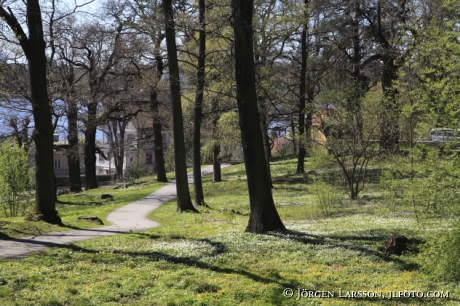 Djurgården Stockholm Sverige