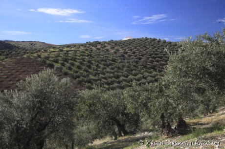 Andalusien Spanien