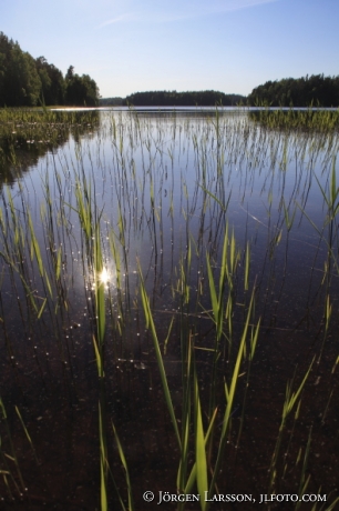 Sjön Fläten Östergötland