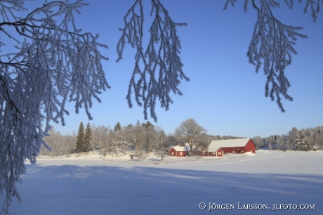 Björndammen Näslandet Södermanland Sverige