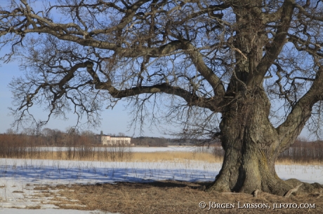 Tullgarns slott nära Trosa Södermanland Sverioge