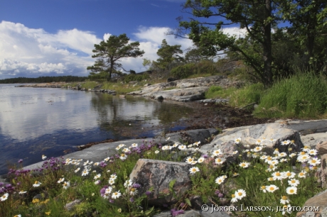 Viskaren Smaland Sweden