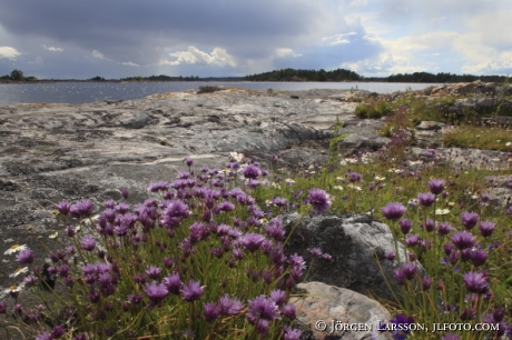 Viskaren Smaland Sweden