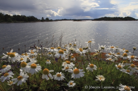 Viskaren Smaland Sweden