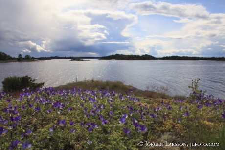 Viskaren Smaland Sweden