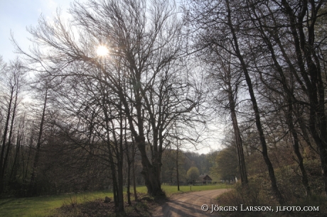 Drakamölla Skåne Sverige