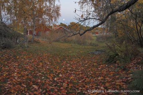 Fullmåne över sjöbodarna