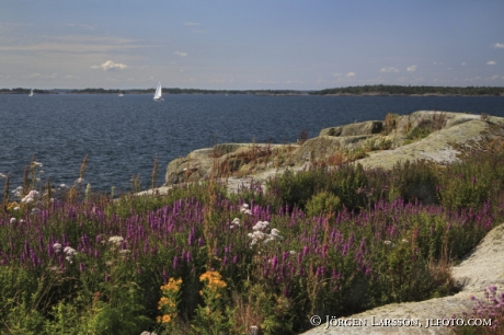 Lekskaren Smaland Sweden