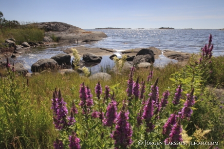 Berkskar Smaland Sweden