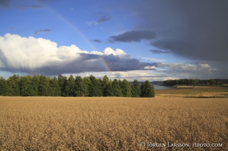 Storsjön nära Björnlunda Södermanland 