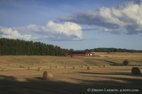 Gårdar och fält utanför Nyköping Södermanland