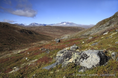 Snöhetta Dovrefjälls nationalpark Norge