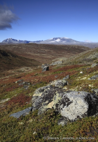 Snöhetta Dovrefjälls nationalpark Norge