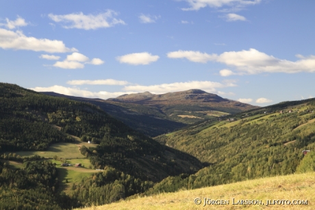 Dalgång Rondane Norge