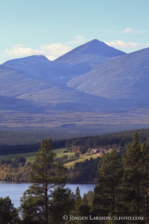 Rondane Norge