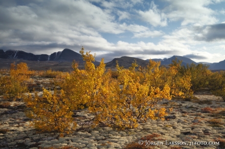 Rondane Dörålseter Norge