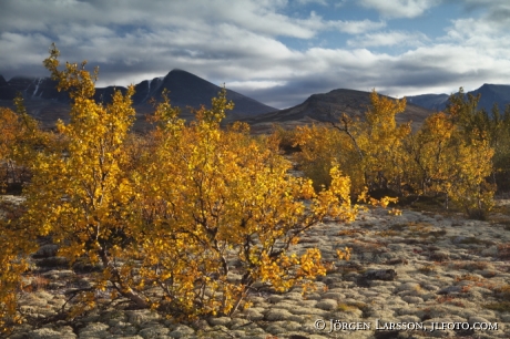 Rondane Dörålseter Norge