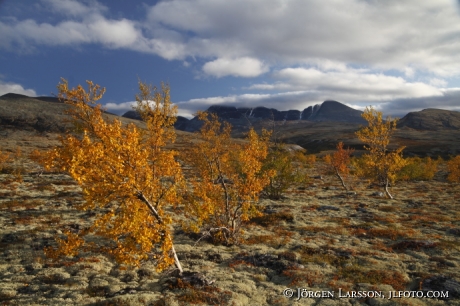 Rondane Dörålseter Norge