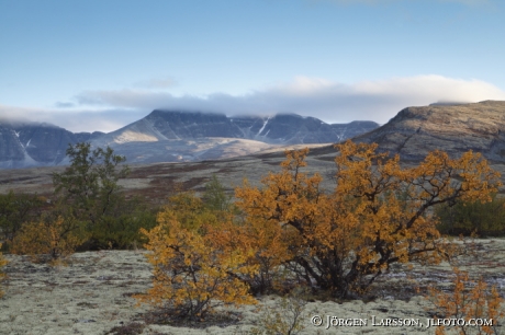 Rondane Dörålseter Norge