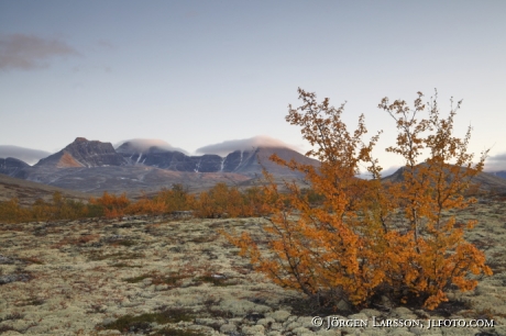 Rondane Dörålseter Norge