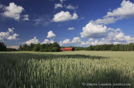 Vetefält Näslandet Grödinge Södermanland