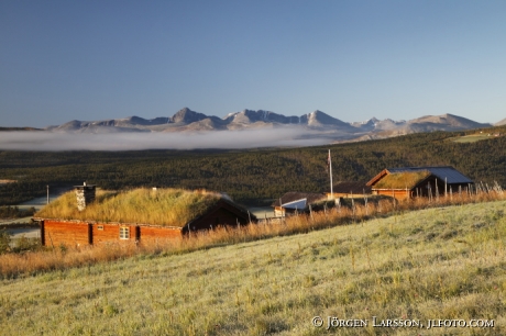 Folldal vid Rondane Norge