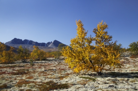 Rondane Dörålseter Norge