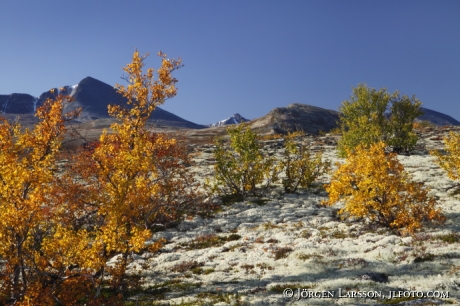 Rondane Dörålseter Norge