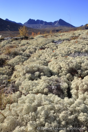 Rondane Dörålseter Norge