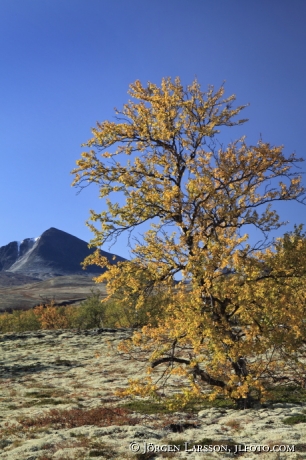 Rondane Dörålseter Norge