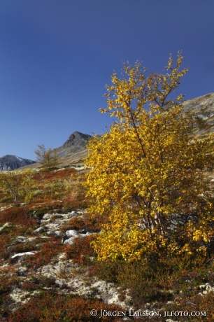 Rondane Dörålseter Norge